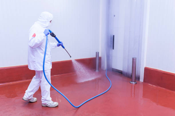 Best Post-Construction Pressure Washing  in Brookdale, CA