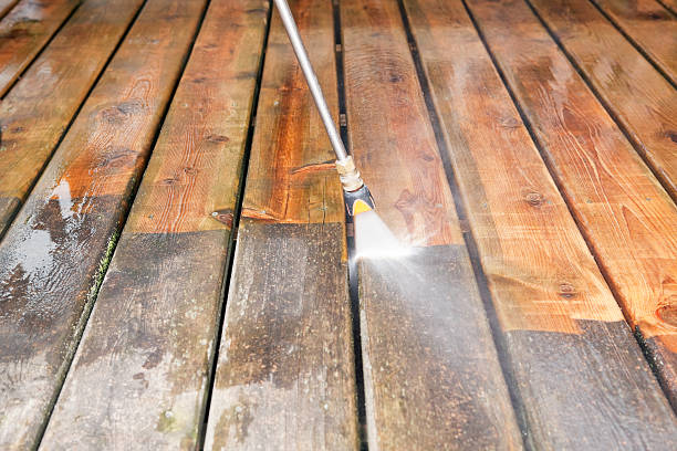 Best Animal Enclosure Cleaning  in Brookdale, CA
