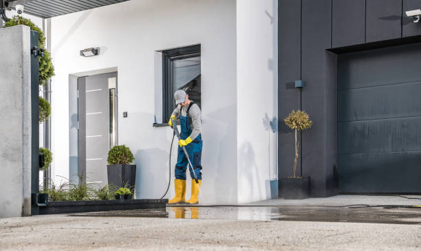 Best Boat and Dock Cleaning  in Brookdale, CA